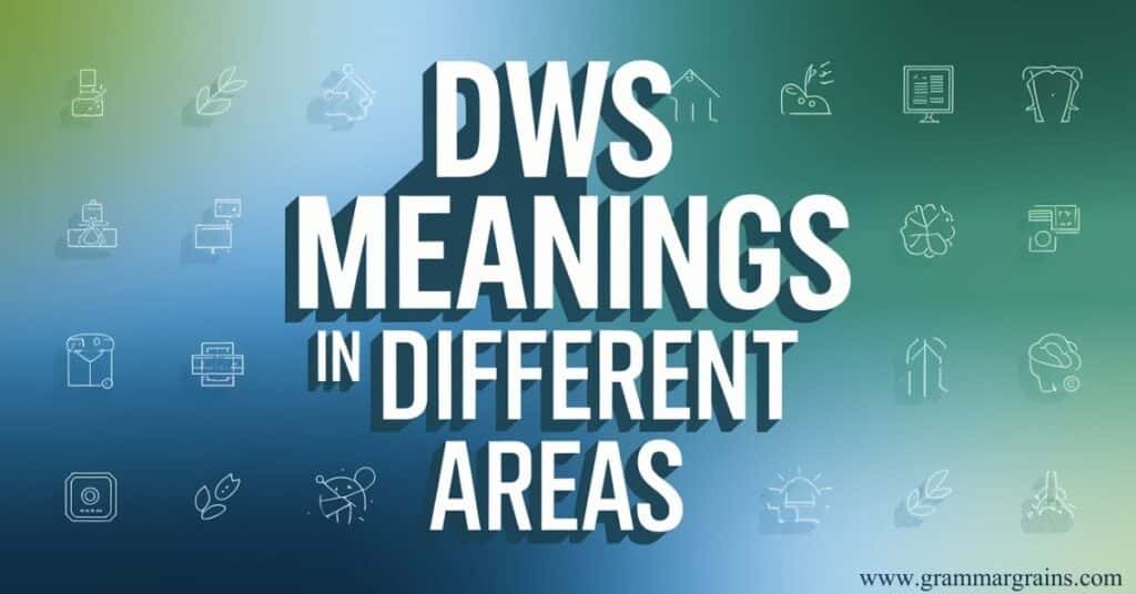 DWS Meanings in Different Areas