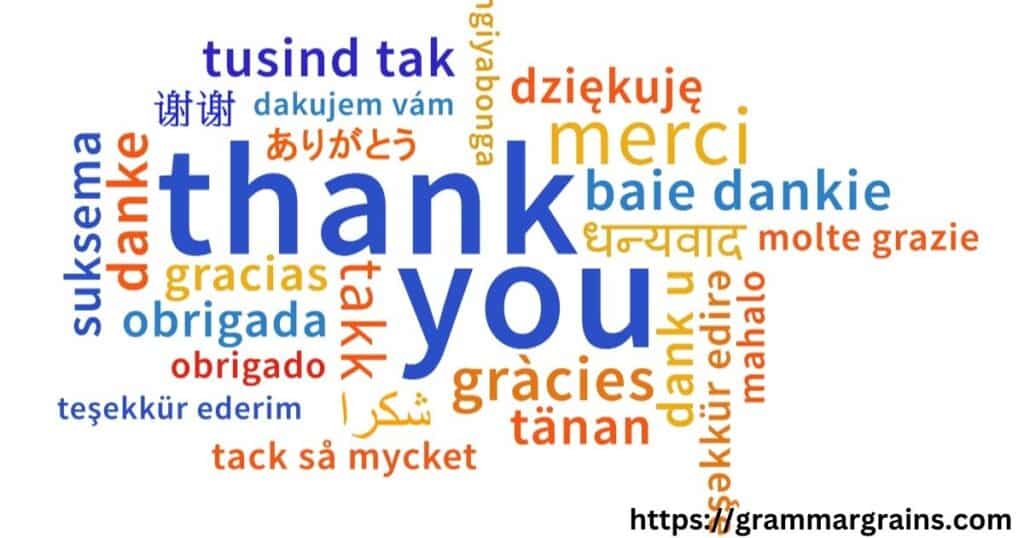 The Power of “Thank You” in Professional and Personal Settings