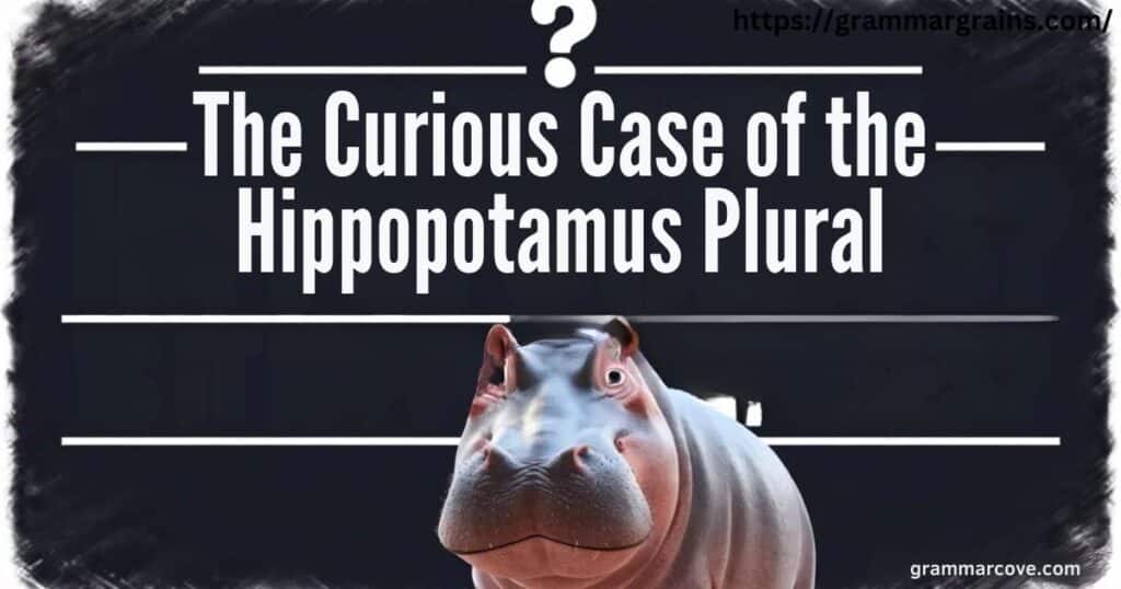 The Curious Case of the Hippopotamus Plural