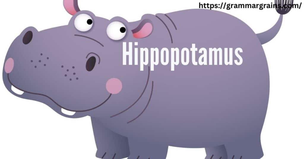 What is a hippopotamus?