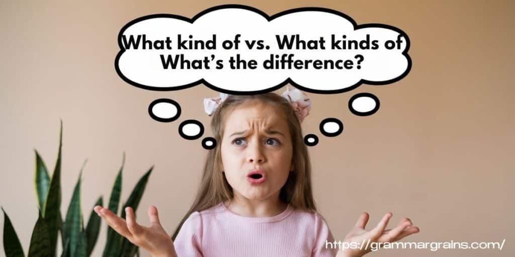 What Kind Of vs What Kinds Of – What’s the Difference?