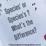 Species' or Species's - What’s the Difference?