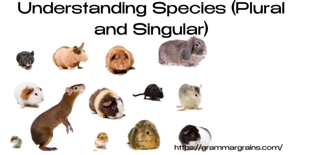 Species' or Species's