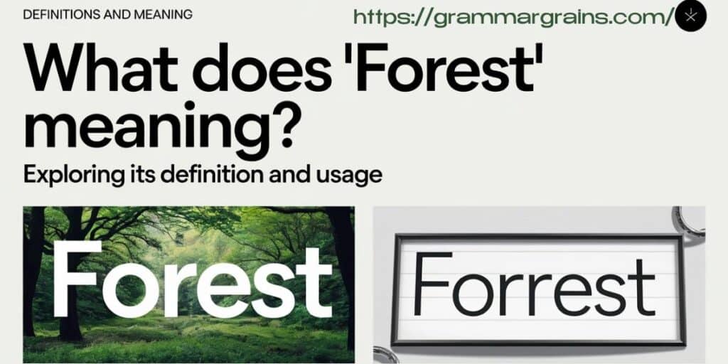 Forrest vs. Forest: Clearing Up the Spelling Confusion