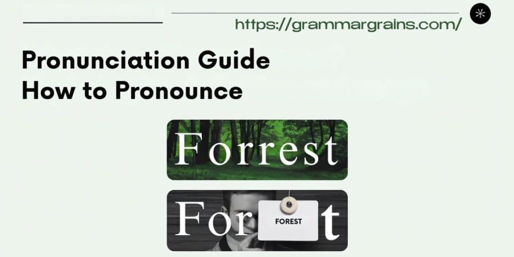 Forrest vs. Forest: Clearing Up the Spelling Confusion