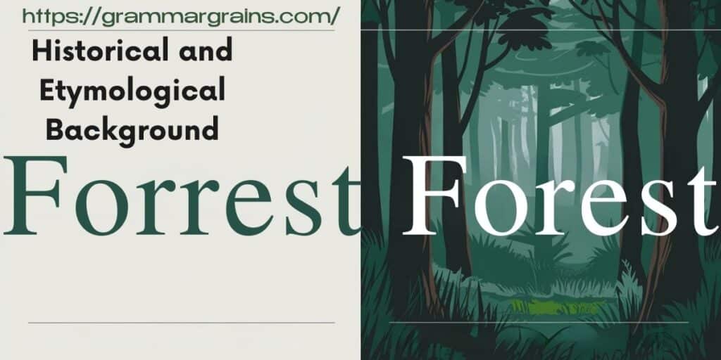 Forrest vs. Forest: Clearing Up the Spelling Confusion