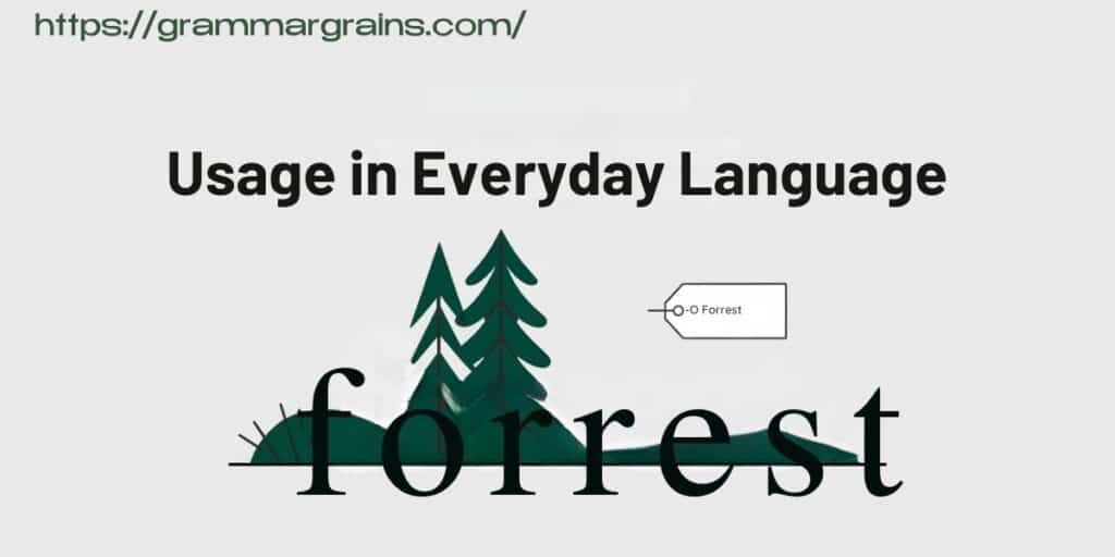 Forrest vs. Forest: Clearing Up the Spelling Confusion