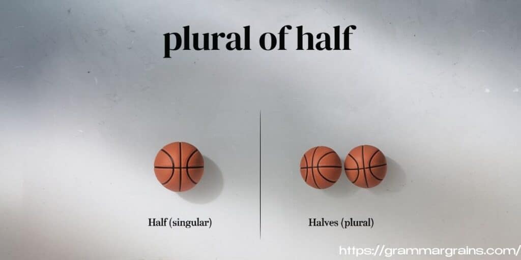 What Is the Plural of Half?