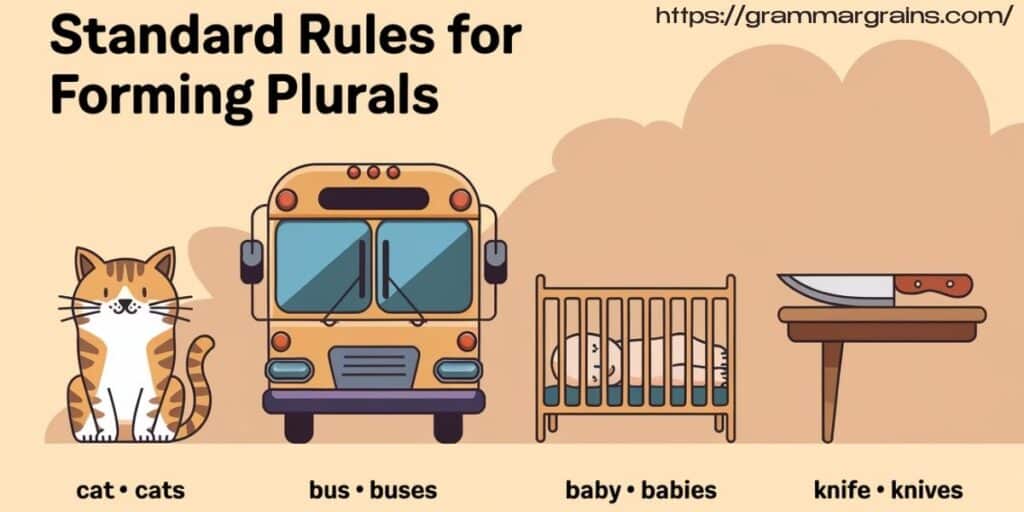 The Standard Rules for Forming Plurals