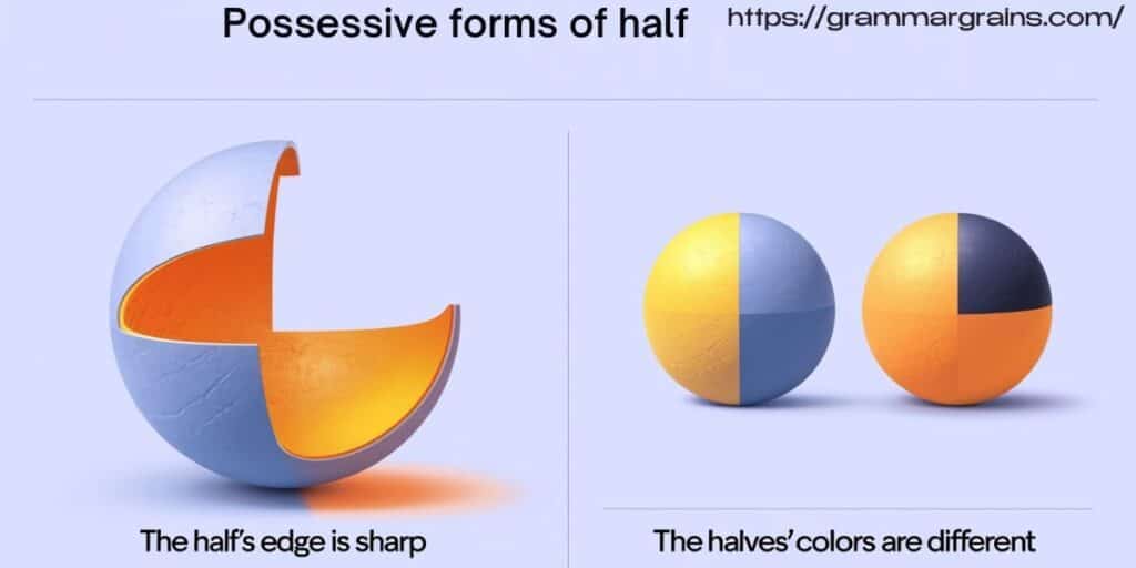 Possessive Forms of Half