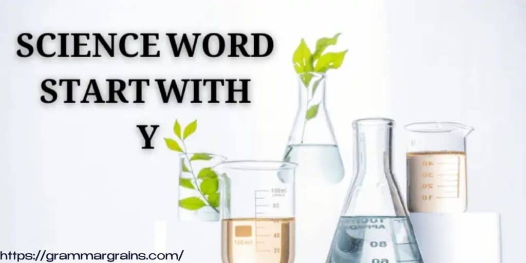 Science Words That Start With Y – A Complete Guide