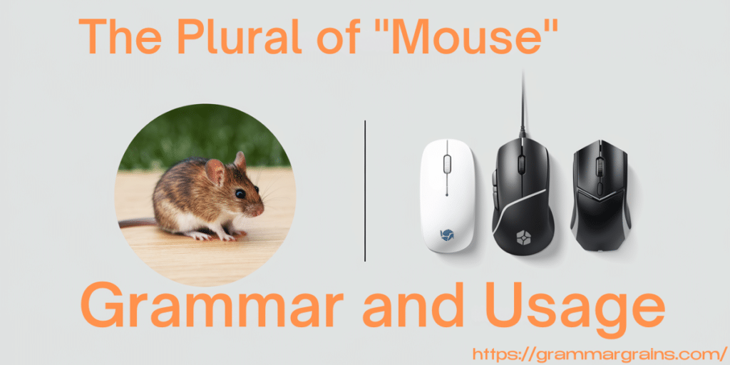 Mouses vs Mice - What’s the Correct Plural of Mouse?